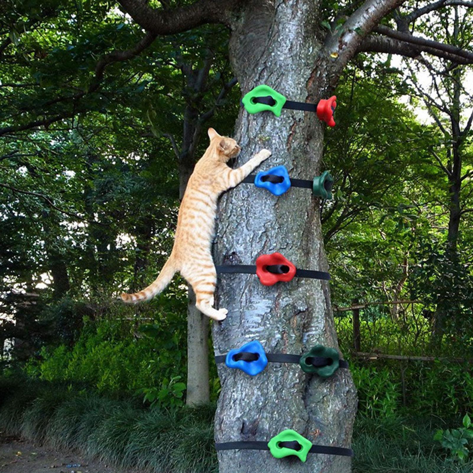 Juguetes de Escalada para Exte - Outdoor Adventure Course reseña y precio